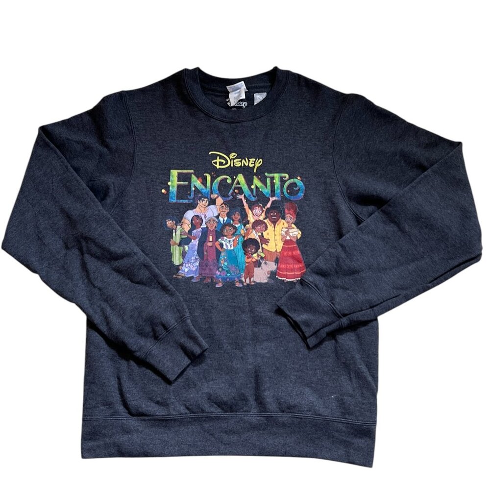 Disney Encanto Madrigal Family Sweatshirt Size Small Long Sleeves Gray Cotton